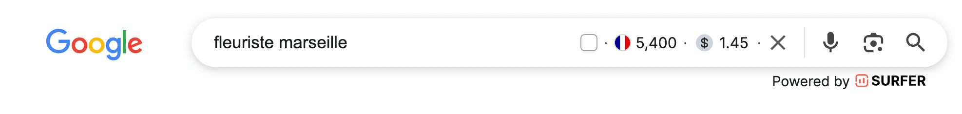 Affichage de Keyword Surfer dans Google